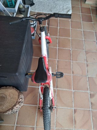 Bicicleta infantil JL-WENTI MTB-16XR