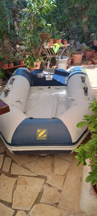 Zodiac Neumática 250