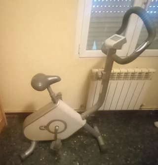 Bicicleta Estática Gris