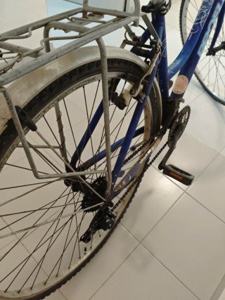 Bicicleta de paseo Proflex vintage más porta bicis