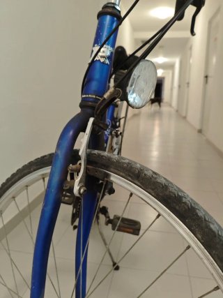 Bicicleta de paseo Proflex vintage más porta bicis