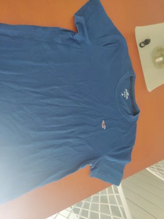 Camiseta Hollister Azul