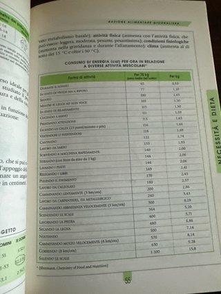 Il cibo e il nostro corpo e il cibo e il nostro...