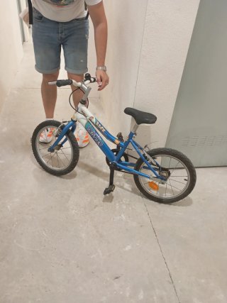 Bici infantil Trotter 5-6 años