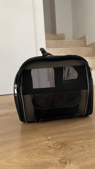 Transportín para perros y gatos