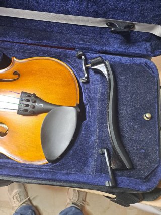 Viola Stentor Student II 14