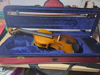 Viola Stentor Student II 14