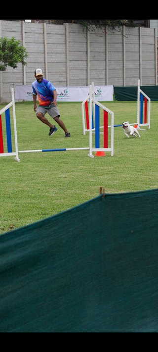 Paseos y Adiestramiento Canino