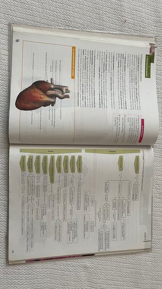 Anatomía aplicada, 1 Bachillerato