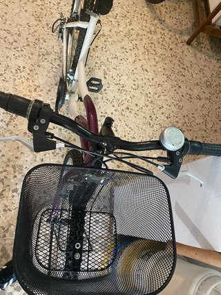Bicicleta urbana con cesta