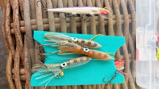 Caña de pesca SUGOI ESTIMA Shimano TR 200G ESTRENO