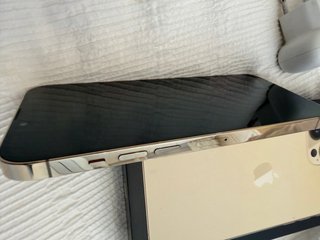 iPhone 13 Pro Max Oro