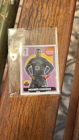Cromo Moises Caicedo Panini Extra Sticker