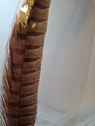 Pluma vintage decorativa 40 cm