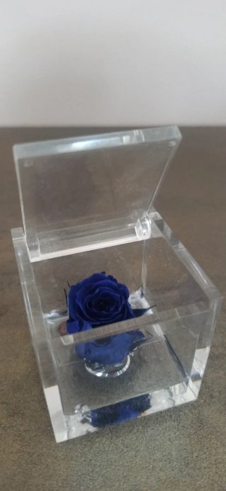 Rosa blu stabilizzata in astuccio