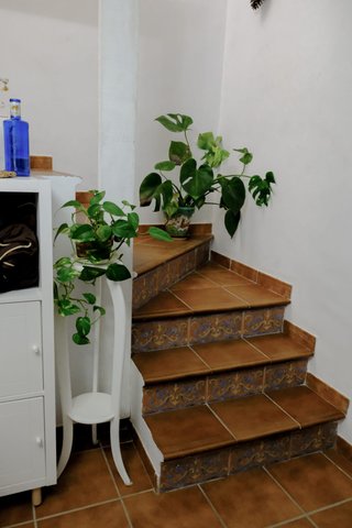 Casa en Prado del Rey-Cádiz (reformada 2023)