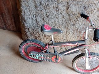 Bicicleta infantil RDX