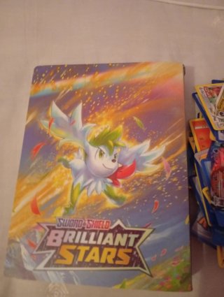 Álbum y un montón de cartas Pokémon (falsas)
