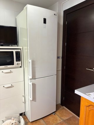 Frigorífico y Congelador Nevera LG Blanco