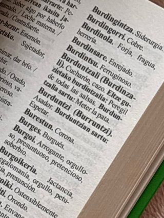Euskera-Castellano diccionario básico
