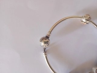 Pulsera Pandora Plata con Charms