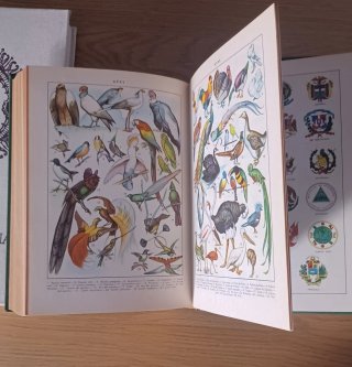Diccionario Enciclopedico Ilustrado.