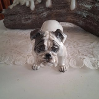 Figura porcelana Rosenthal bulldog inglés