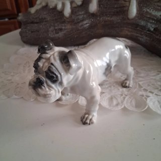 Figura porcelana Rosenthal bulldog inglés