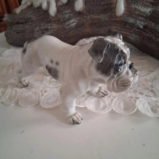 Figura porcelana Rosenthal bulldog inglés