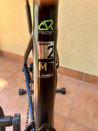 Bici da strada Giant Defy Advanced M