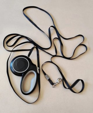 Trela Extensível para Cão Pequeno Porte (5 metros)