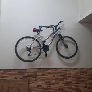 Bicicleta de montaña plateada