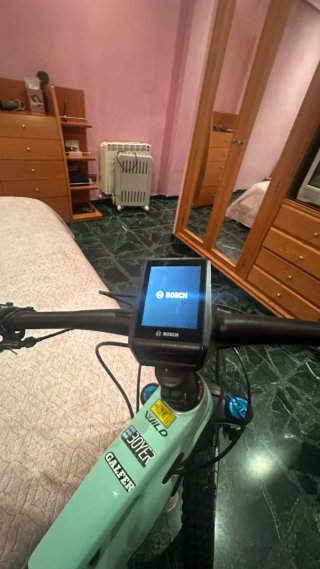 Bici wild f 20 carbono