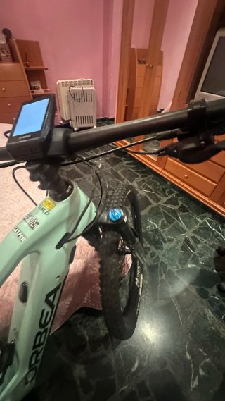 Bici wild f 20 carbono
