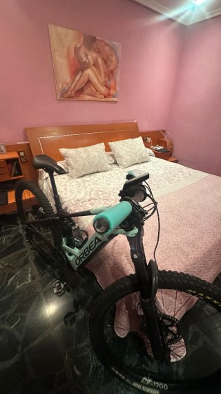 Bici wild f 20 carbono