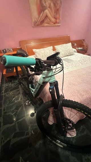 Bici wild f 20 carbono