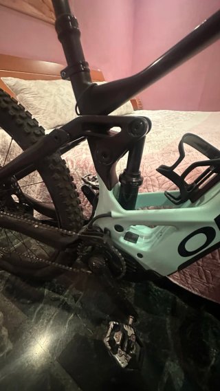 Bici wild f 20 carbono