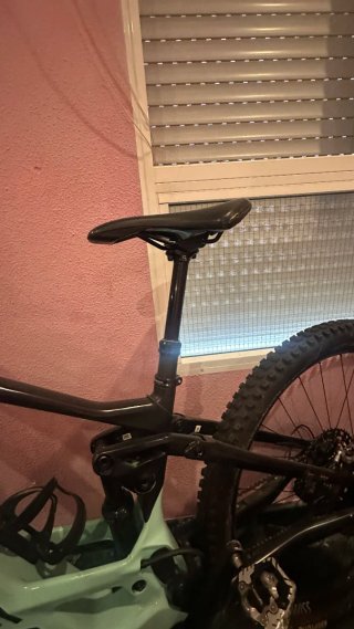 Bici wild f 20 carbono