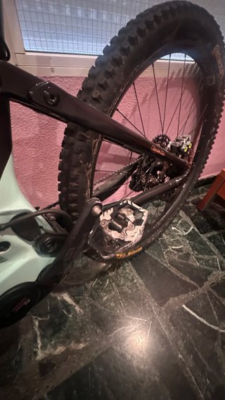 Bici wild f 20 carbono