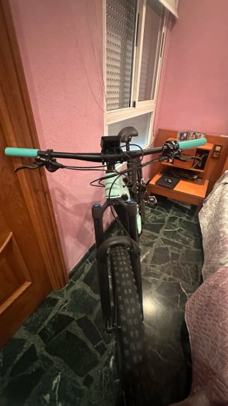 Bici wild f 20 carbono
