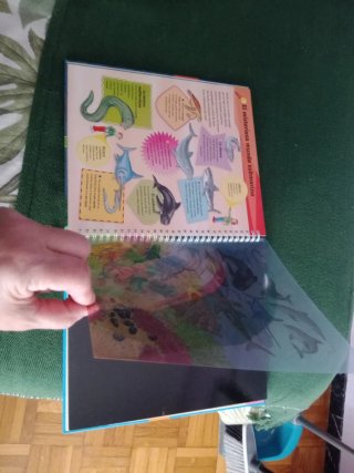 Libro infantil " mundo marino"
