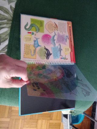 Libro infantil " mundo marino"