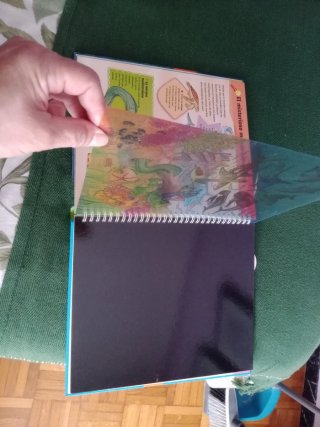 Libro infantil " mundo marino"