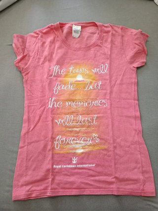 Lote de Tops de diferentes marcas Talla S y XS