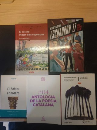 Lote libros juveniles
