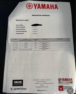 Yamaha MT-125 gris + baúl Givi
