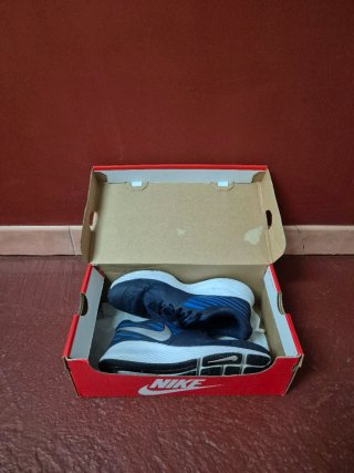 Zapatillas Nike Running Azul y Plata