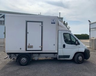Camper Vivienda:2048/Camion FIAT Ducato Isotermo,