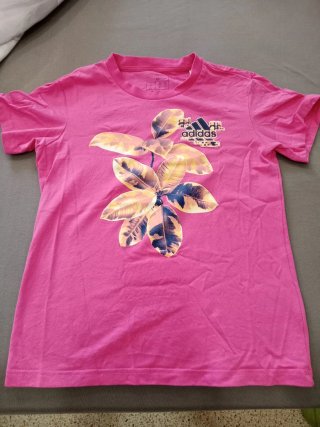 Lote de camisetas, tops y vestidos, hay 10 prendas