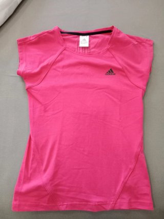 Lote de camisetas, tops y vestidos, hay 10 prendas